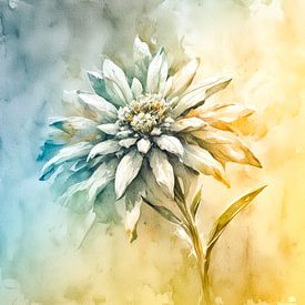 Édélweiss unique sur Jutta Maria Pusl