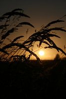 zonsondergang 
