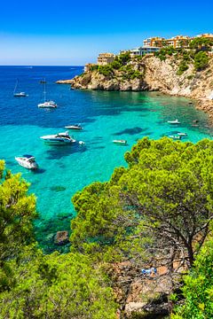 Spanje, luxe boten jachten in de baai van Costa de la Calma, Mallorca eiland, Santa Ponsa van Alex Winter