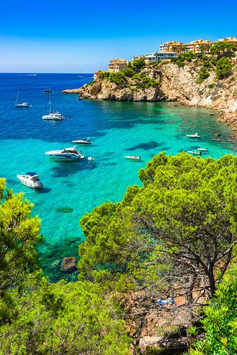 Spanje, luxe boten jachten in de baai van Costa de la Calma, Mallorca eiland, Santa Ponsa