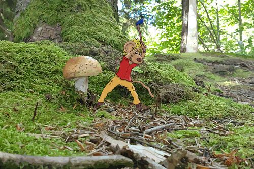 De champignonplukker