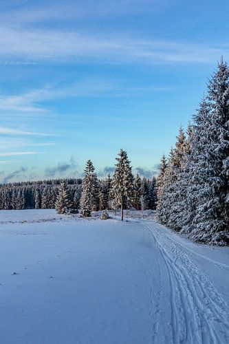 Eerste winterwandeling op de Rennsteig