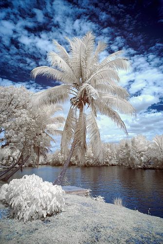 Infrared recording at the waterfront. by Humphry Jacobs