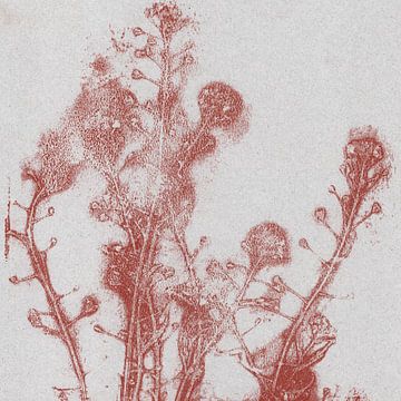 Zomerbloemen in warm rood. van Dina Dankers