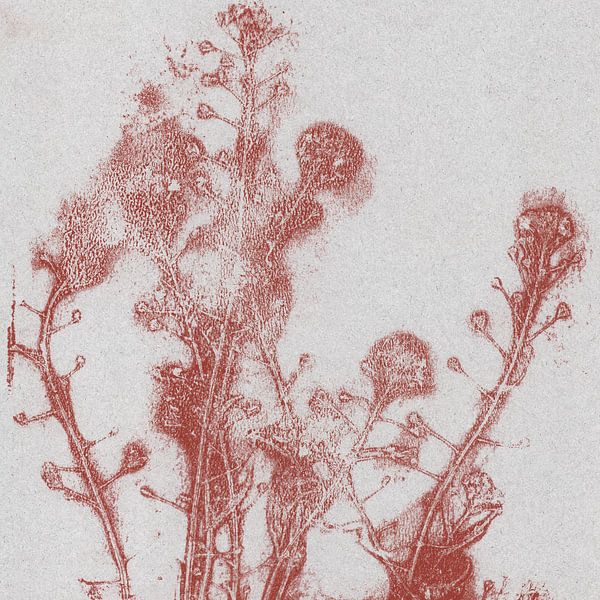 Fleurs d'été d'un rouge chaud. par Dina Dankers