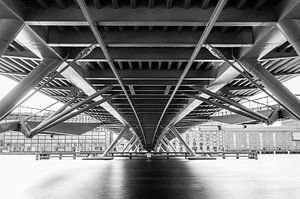 Under the bridge