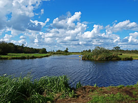 Nieuwkoopse Plassen