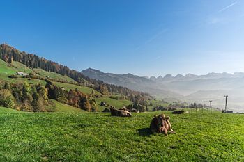 Swiss Alpine landscape with a view of the Churfirsten mountains