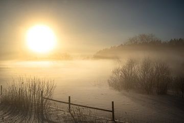 Wintersunlight by Marc Hollenberg