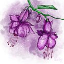 Blumenmotiv - Fuchsien violett von Patricia Piotrak Miniaturansicht