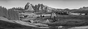 Dolomiten Seiser Alm schwarz-weiß
