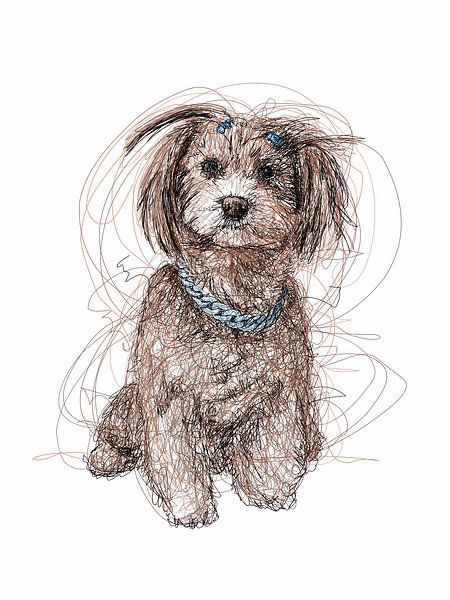 Un chien mignon par Sepri Abadi