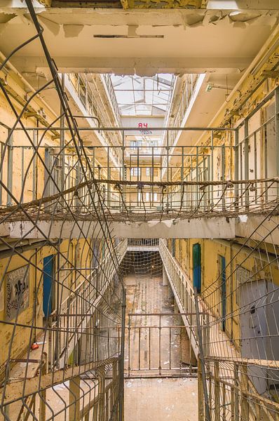 Jailhouse Rock van Frans Nijland