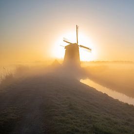 Mühle in der Sonne von Robert van der Eng