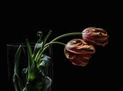 Twee tulpen van Lex Schulte thumbnail