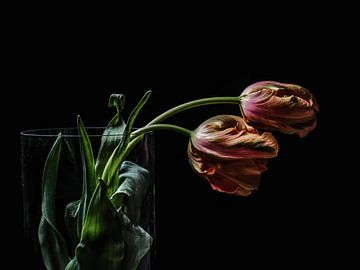 Zwei tulpen von Lex Schulte