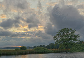 Dwingelderveld - Drenthe (Nederland)