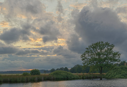 Dwingelderveld – Drenthe (Netherlands) by Marcel Kerdijk