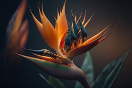 Goude Oranje Strelitzia met Regenboog van Surreal Media