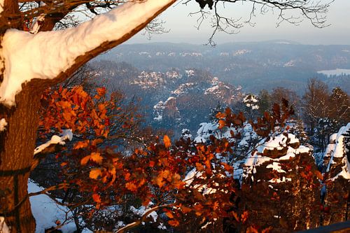 Elbe Sandstone Mountains