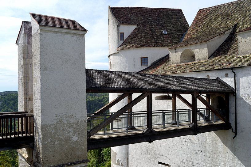 Wildenstein Castle; Danube by Nick Wendt