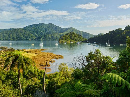 Marlborough Sound