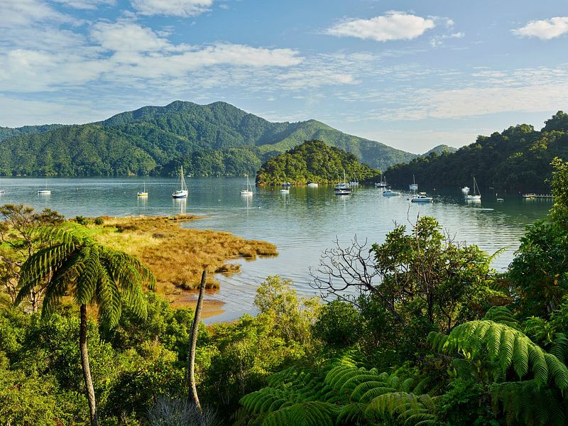 Marlborough Sound van Rainer Mirau