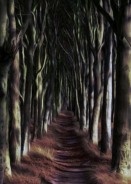 Weg durch den Märchenwald