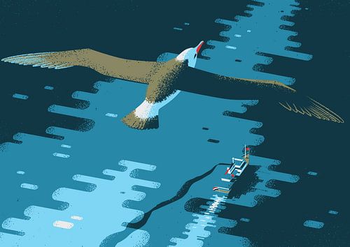 Albatros