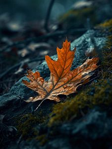 Herbstspaziergang