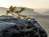 Gohrisch in Saxon Switzerland - View towards Pfaffenstein