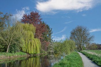 in der Niersaue bei Wachtendonk