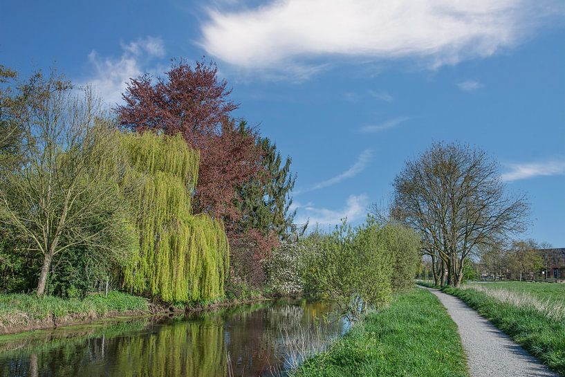 in der Niersaue bei Wachtendonk von Peter Eckert