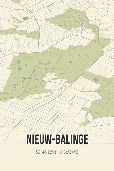 Vintage map of Nieuw-Balinge (Drenthe) by Prints of Place