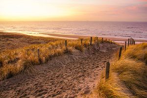 Strandleven von Dirk van Egmond