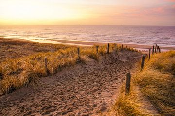 Strandleven van Dirk van Egmond