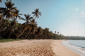 Plage tropicale au Sri Lanka
