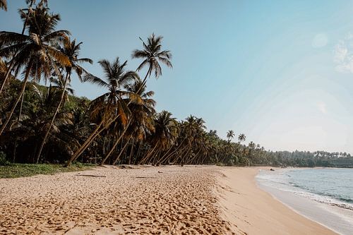 Tropical beach in Sri Lanka