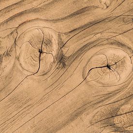 houten plank met noesten en jaarringen in natuurlijk hout van Peter Buijsman