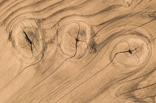 houten plank met noesten en jaarringen in natuurlijk hout