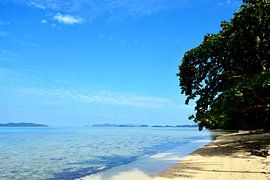 Kristallklares Wasser in Port Barton, Palawan von Frank Photos