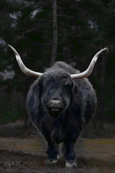 Taureau noir écossais highlander. par Humphry Jacobs