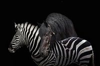 Image editing Horse and Zebra - Dramatic Comparison on Black Background