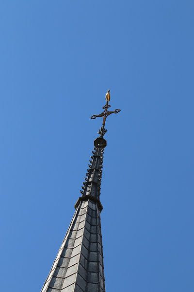 Tower spire in Beaune by Bärbel Severens