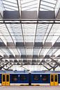 Lijnen van station Rotterdam-Centraal van Jochem Oomen thumbnail