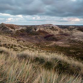 Terschelling von Jelmer Reyntjes