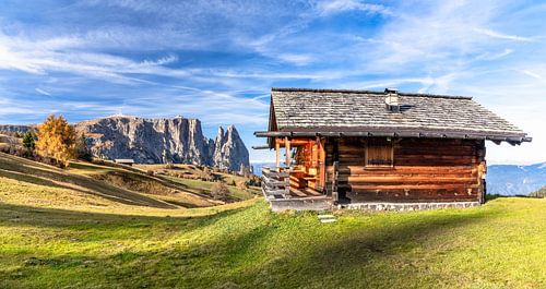 Alpe di Siusi in de Dolomieten - Italië