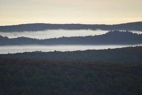 Een mist op een herfstochtend