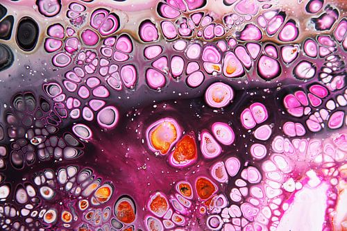 Een explosie van cellen