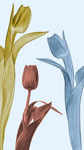 Tulpen in goud-zilver-brons van Klaartje Majoor